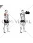 Dumbbell One Arm Front Raise