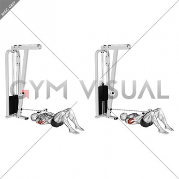 Cable Triceps Pushdown on Floor