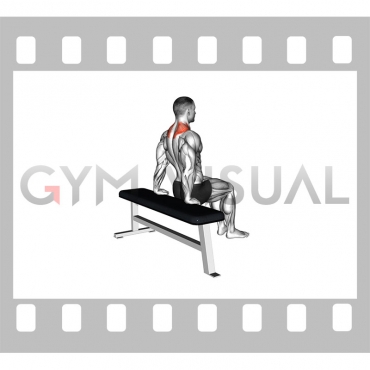 Scapula Dips