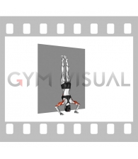 Handstand Push-Up (female)