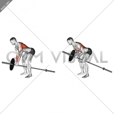 Lever Bent over Row (plate loaded)