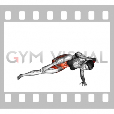 Elbow to Knee Side Plank Crunch (female)