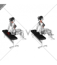 Scapula Dips (female)