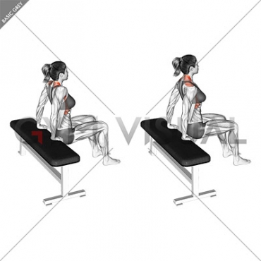 Scapula Dips (female)