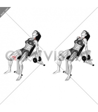 Dumbbell Incline Shrug (female)