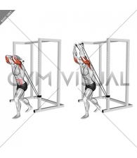 Band overhead triceps extension (male)