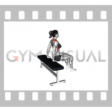 Scapula Dips (female)