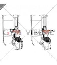 Cable Seated Rear Delt Fly with Chest Support