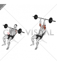 Barbell Incline Reverse-grip Press