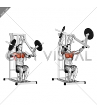 Lever Chest Press (plate loaded)