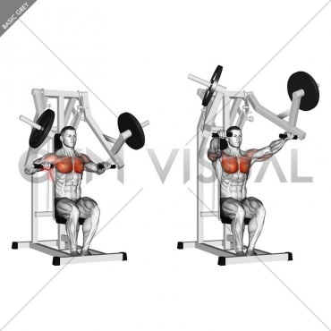 Lever Chest Press (plate loaded)