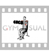 Dumbbell Seated Front Raise