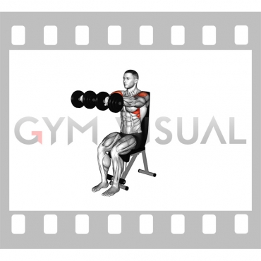 Dumbbell Seated Front Raise