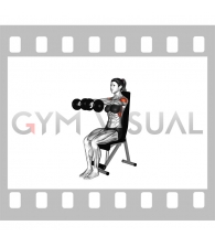 Dumbbell Seated Front Raise (female)