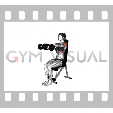 Dumbbell Seated Front Raise (female)