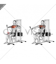 Lever Chest Press