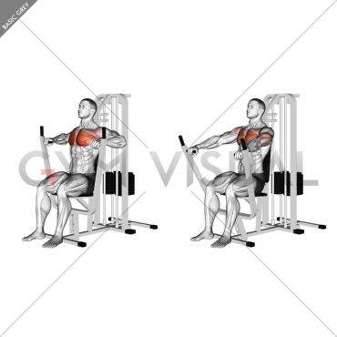 Lever Chest Press