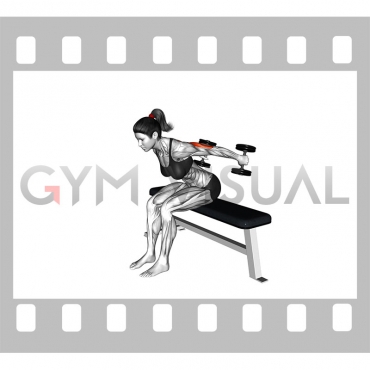 Dumbbell Seated Kickback (female)