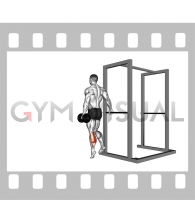 Dumbbell Single Leg Calf Raise