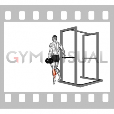 Dumbbell Single Leg Calf Raise