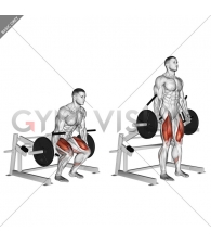 Lever Deadlift (plate loaded)