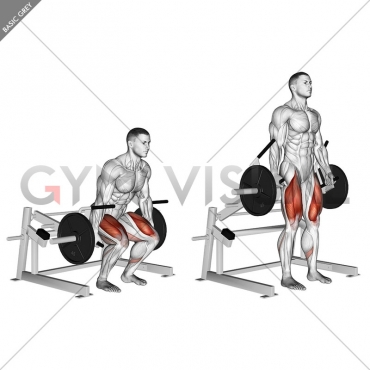 Lever Deadlift (plate loaded)