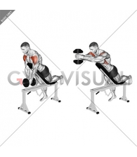 Dumbbell Incline Front Raise with Chest Support