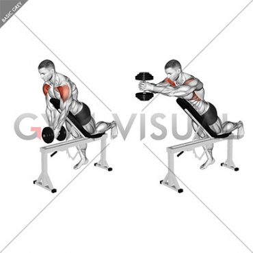 Dumbbell Incline Front Raise with Chest Support