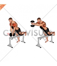 Dumbbell Incline Front Raise with Chest Support