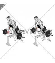 Barbell Incline Wrist Curl with Chest Support