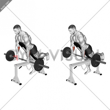 Barbell Incline Wrist Curl with Chest Support