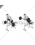 Barbell Incline Reverse grip Spider Curl with Chest Support