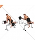 Barbell Incline Reverse grip Spider Curl with Chest Support