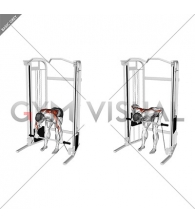 Cable Bent Over Row with Bar