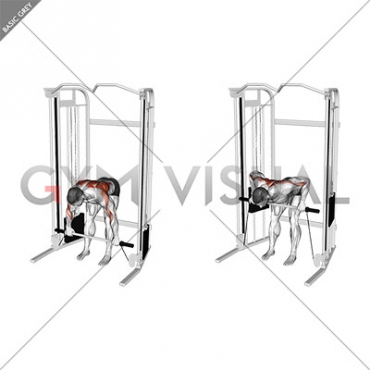 Cable Bent Over Row with Bar