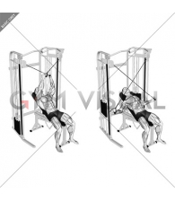 Cable Incline Cross Rear Fly