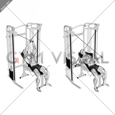 Cable Incline Cross Rear Fly