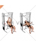 Cable Incline Cross Rear Fly