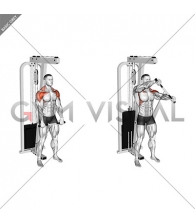 Cable Standing Front Raise Variation
