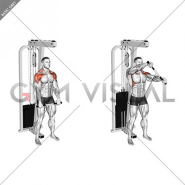 Cable Standing Front Raise Variation