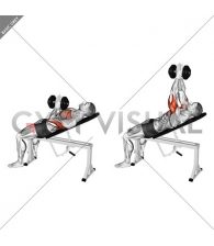 Dumbbell Incline Close-grip Press Variation