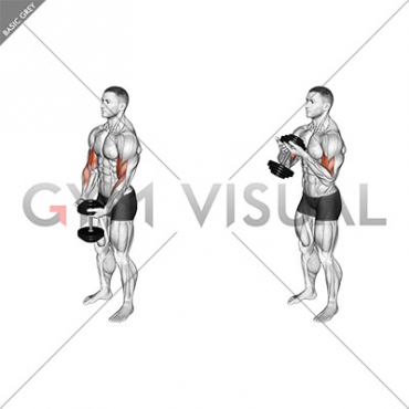 Dumbbell Standing Single Spider Curl