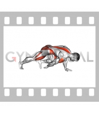 Front Plank to Toe Tap (male)