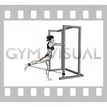 Band Standing Hip Extension (female)