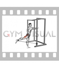 Band Standing Hip Extension (male)