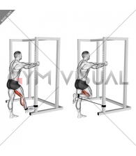 Band Standing Leg Curl (male)