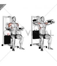 Lever Lateral Raise