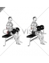 Weighted Seated Neutral Wrist Curl