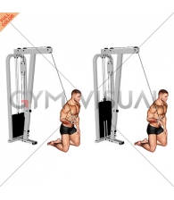 Cable One Arm Wrist Curl