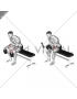 Weighted Seated Supination